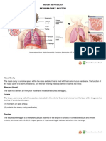 Anatomy and Physiology