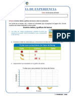 Dia 3 Ficha 1º Web