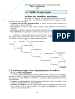 2 Les Premières Branches Des Vertébrés PDF