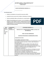 Plan Semanal N.-11 Lectura Comprensiva 2-3