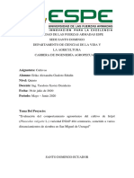 Evaluacion de Difente Densidad de Siembra en El Cultivo de Frejol en San Miguel de Urcuquí