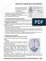 Cours Complet Terminale-1 PDF