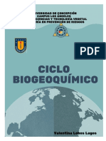 Ciclo Biogeoquímico