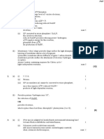 3 Photosynthesis MS PDF