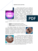 Orgonite Na Prece Ação Huna PDF