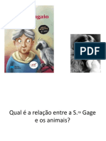 QUIZ - A Viúva e o Papagaio - Virginia Woolf - Power Point (1) .PPSX