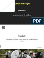 Semana 11 Levantamiento de Cadáver (Diapositiva