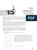 A&P Coloring Workbook - The Urinary System PDF