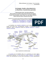 Mamiferos PDF