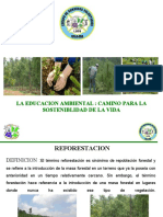 Diapositivas Reforestacion