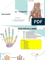 Seminario MANO - Irrigación e Inervación