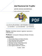 Informe de Identidad