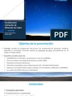 Fundamentos Lixiviación