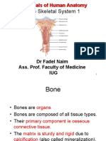 The Skeletal System 1: Essentials of Human Anatomy