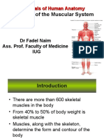 Anatomy of The Muscular System