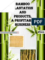 Project Report On Bamboo and Bamboo Products