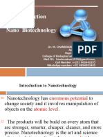 On Nano Biotechnology