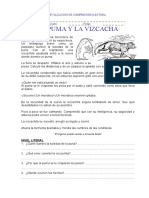 Evaluacion - COMPRENSION LECTORA