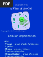 A View of The Cell: Chapter Seven