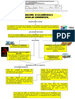 Mapa Conceptual PDF