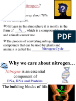 Nitrogen Cycle