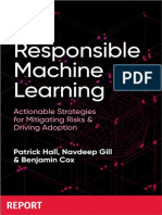 Responsible Machine Learning