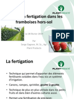 Fertigation Framboisier