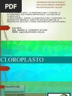 IF-4 Cloroplasto y Mitocondria PDF