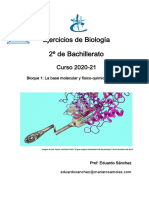 Ejercicios Bloque1