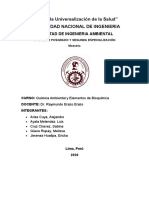 Informe Trabajo Final Quimica Grupal Unido