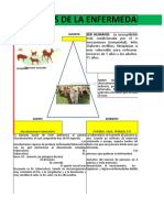 Historia Natural Del Tuberculosis