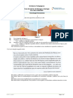 Ficha Trabalho Sismologia e Vulcanismo e Correção 2021