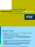 Nervous Tissue: Prof. Dr. Anas Sarwar Qureshi