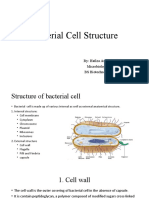 Bacterial Cell Structure: By: Hafiza Asfa Shafique Microbiology BS Biotechnology V