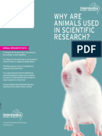 Why Are Animals Used in Scientific Research?