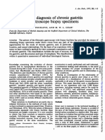 Diagnosis Gastritis Fibreoptic Biopsy Specimens: The Histological in