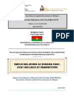 Rapport Pays Burkina Faso