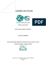 Memoire de Licence - Scms Europe