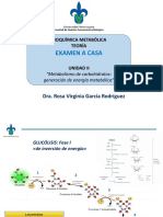 Examen A Casa Unidad 2 Metabolismo de Carbohidratos