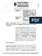 Apelacion A Mandato de Detencion Preliminar PDF