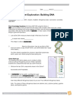 BuildingDNA Student Exploration Answersheet