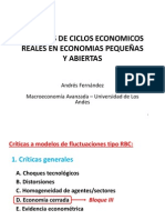 Tema 6 - Modelo RBC en EPA - Andres Fernandez - Macro Avz