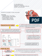 Potenciales de Marcapasos y Miocardiocitos