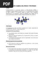 Estructura Quimica de Lipidos y Proteinas