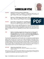 CV Du Consultant Type