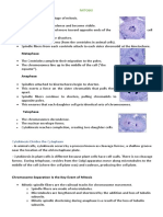 Prophase - The First Stage of Mitosis