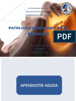 Patologia Quirurgica en El Embarazo