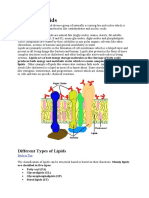 Different Types of Lipids