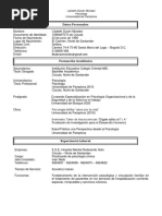 Curriculum Vitae Lilybeth Durán PDF