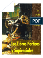 Libros Poeticos - Intro - Job